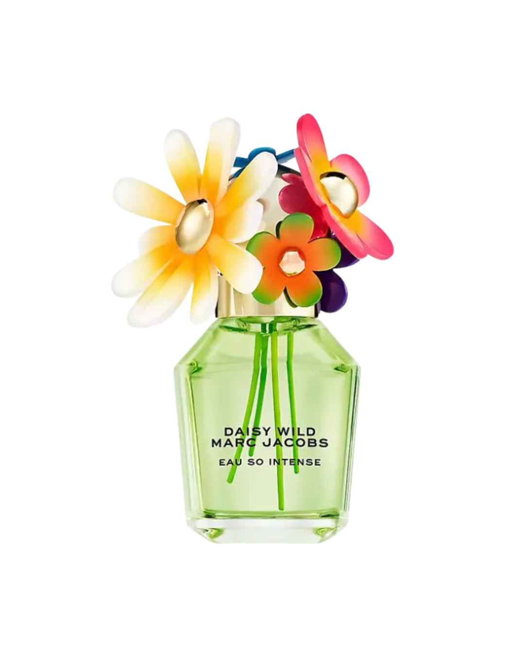 Daisy Wild Eau So Intense image